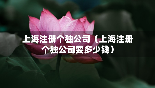 上海注册个独公司（上海注册个独公司要多少钱）