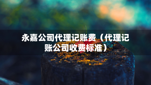 永嘉公司代理记账费（代理记账公司收费标准）