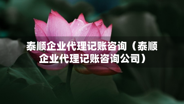 泰顺企业代理记账咨询(泰顺企业代理记账咨询公司) 泰顺企业代理记账咨询(泰顺企业代理记账咨询公司)