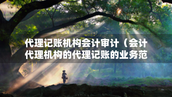 代理记账机构会计审计（会计代理机构的代理记账的业务范围有哪些）