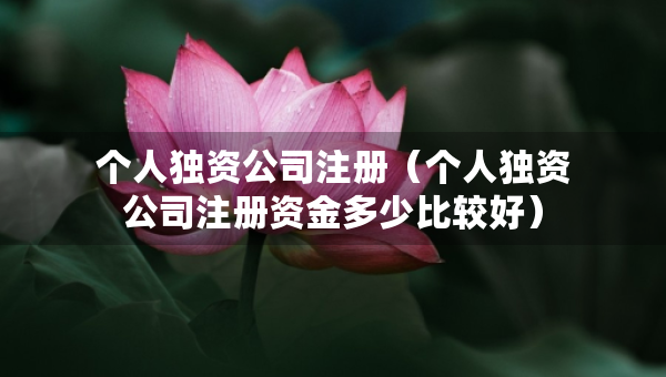 个人独资公司注册（个人独资公司注册资金多少比较好）