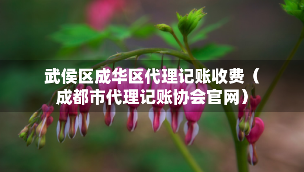 武侯区成华区代理记账收费（成都市代理记账协会官网）