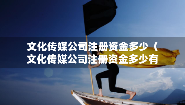 文化传媒公司注册资金多少（文化传媒公司注册资金多少有什么区别）