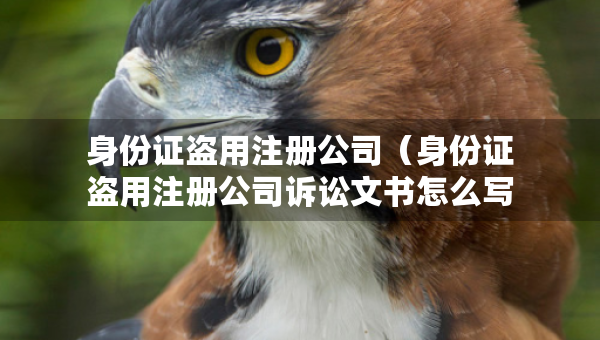 身份证盗用注册公司（身份证盗用注册公司诉讼文书怎么写）