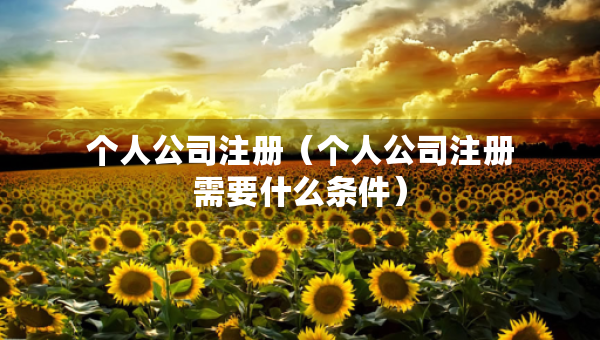个人公司注册（个人公司注册需要什么条件）