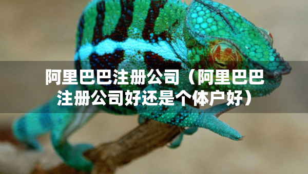 阿里巴巴注册公司（阿里巴巴注册公司好还是个体户好）
