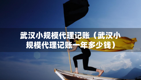 武汉小规模代理记账（武汉小规模代理记账一年多少钱）