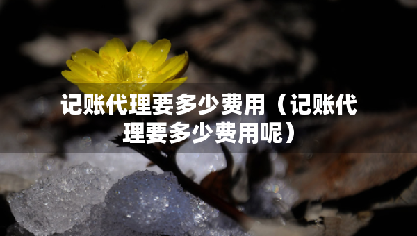 记账代理要多少费用（记账代理要多少费用呢）