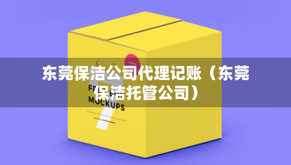 东莞保洁公司代理记账（东莞保洁托管公司）