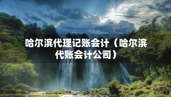 哈尔滨代理记账会计（哈尔滨代账会计公司）