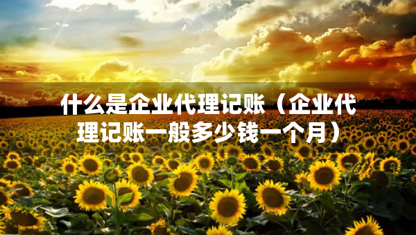 什么是企业代理记账（企业代理记账一般多少钱一个月）