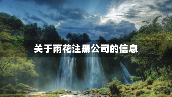 关于雨花注册公司的信息