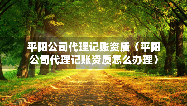 平阳公司代理记账资质（平阳公司代理记账资质怎么办理）