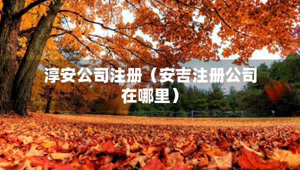 淳安公司注册（安吉注册公司在哪里）
