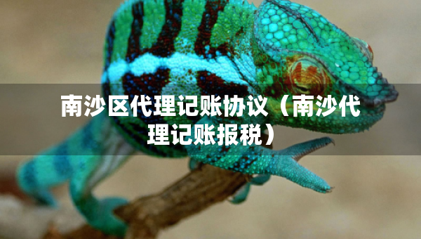 南沙区代理记账协议（南沙代理记账报税）