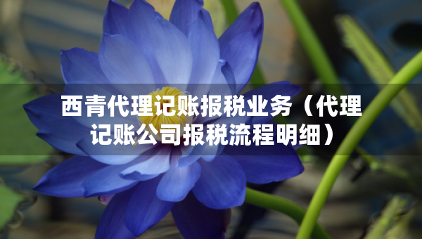 西青代理记账报税业务（代理记账公司报税流程明细）