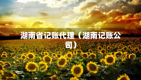 湖南省记账代理(湖南记账公司) 湖南省记账代理(湖南记账公司)