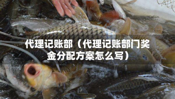 代理记账部（代理记账部门奖金分配方案怎么写）