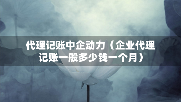 代理记账中企动力（企业代理记账一般多少钱一个月）
