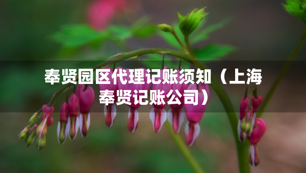 奉贤园区代理记账须知（上海奉贤记账公司）