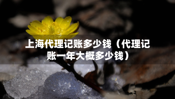 上海代理记账多少钱（代理记账一年大概多少钱）