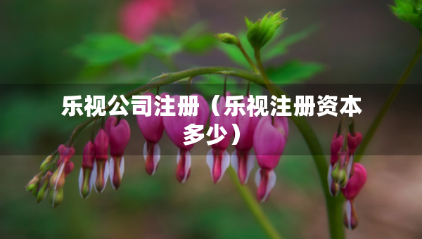 乐视公司注册（乐视注册资本多少）