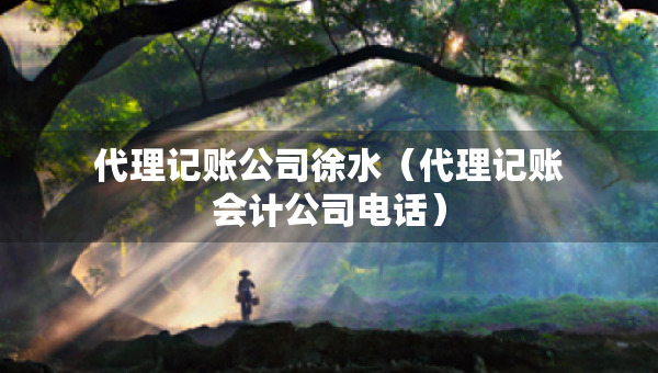代理记账公司徐水（代理记账会计公司电话）
