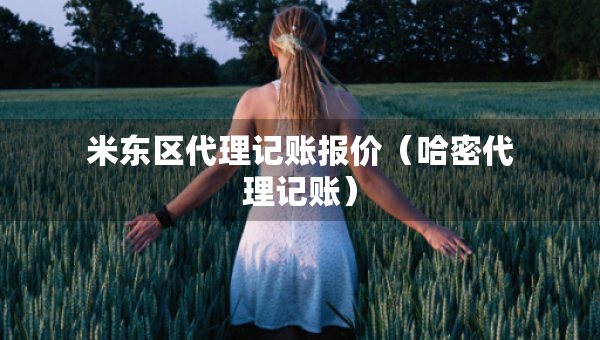 米东区代理记账报价（哈密代理记账）