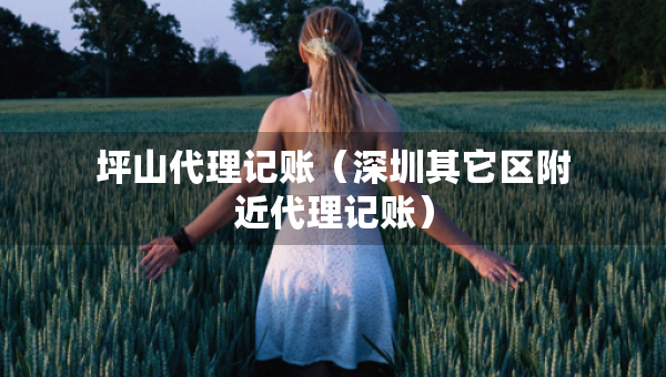 坪山代理记账（深圳其它区附近代理记账）