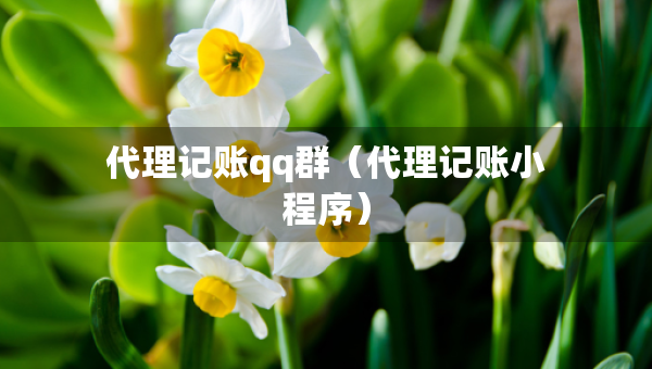 代理记账qq群（代理记账小程序）