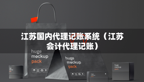 江苏国内代理记账系统（江苏会计代理记账）