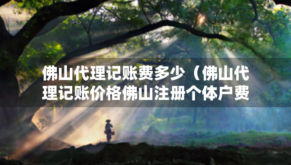 佛山代理记账费多少（佛山代理记账价格佛山注册个体户费用）