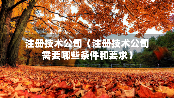 注册技术公司（注册技术公司需要哪些条件和要求）
