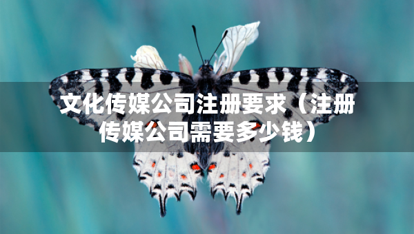 文化传媒公司注册要求（注册传媒公司需要多少钱）