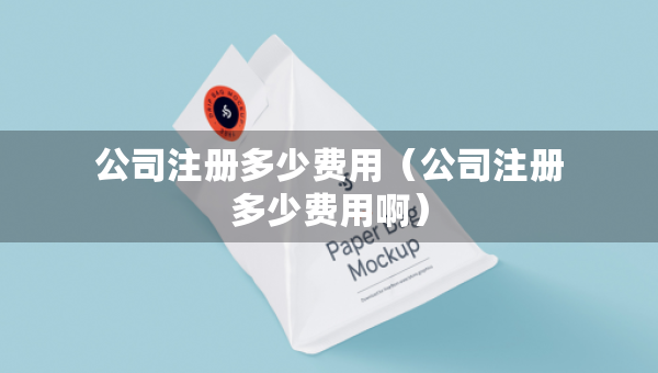公司注册多少费用（公司注册多少费用啊）
