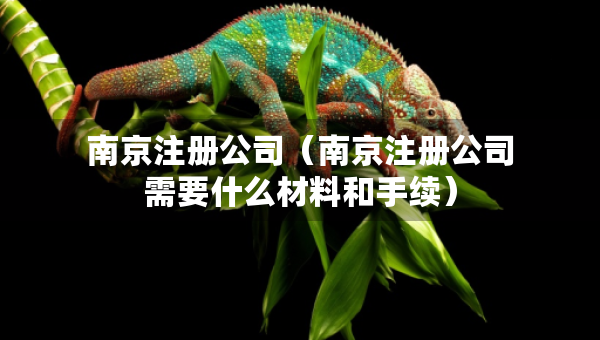 南京注册公司（南京注册公司需要什么材料和手续）