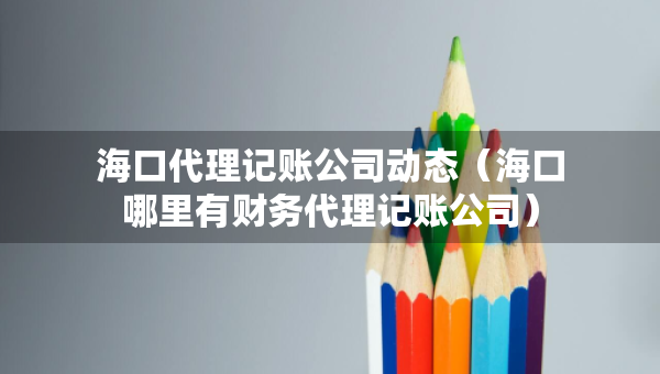 海口代理记账公司动态（海口哪里有财务代理记账公司）