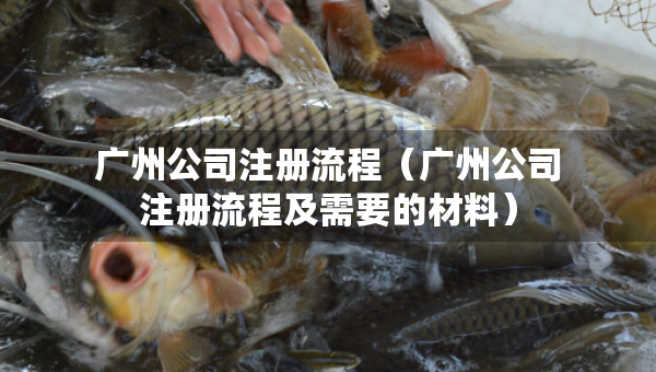 广州公司注册流程（广州公司注册流程及需要的材料）