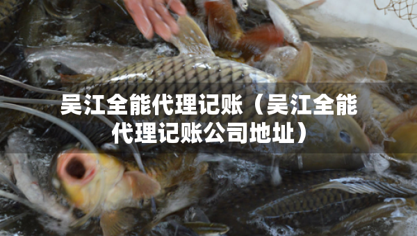 吴江全能代理记账（吴江全能代理记账公司地址）