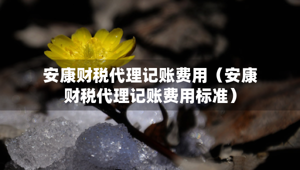 安康财税代理记账费用（安康财税代理记账费用标准）