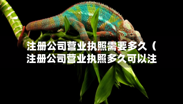 注册公司营业执照需要多久（注册公司营业执照多久可以注销）