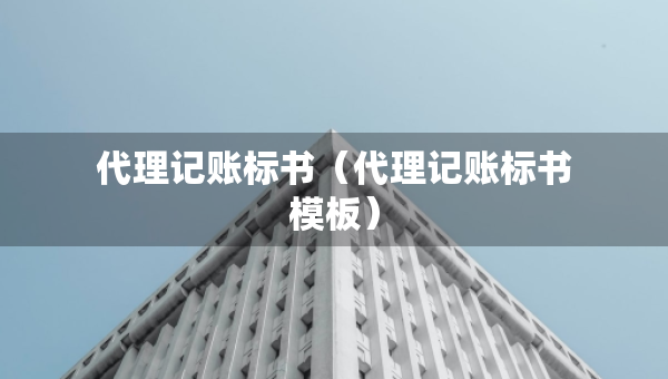 代理记账标书（代理记账标书模板）