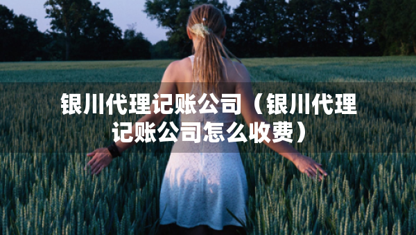 银川代理记账公司（银川代理记账公司怎么收费）
