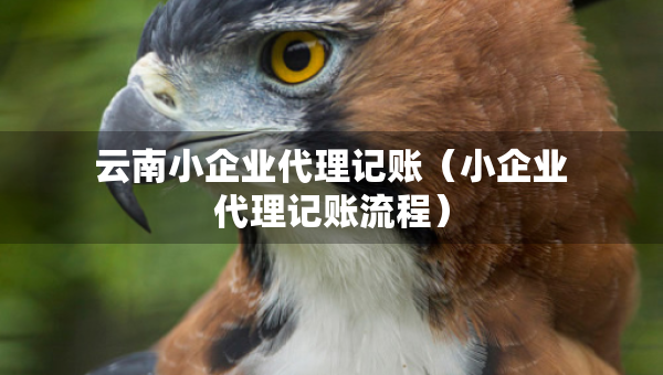 云南小企业代理记账（小企业代理记账流程）