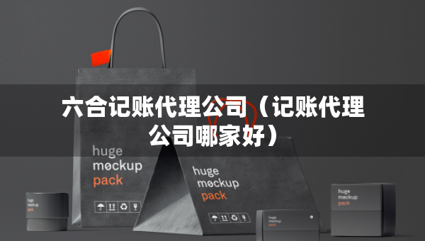六合记账代理公司（记账代理公司哪家好）
