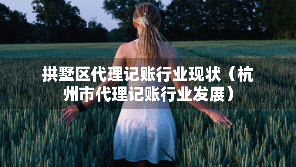 拱墅区代理记账行业现状（杭州市代理记账行业发展）