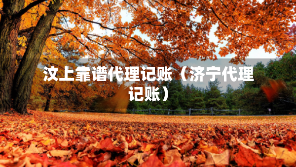 汶上靠谱代理记账（济宁代理记账）
