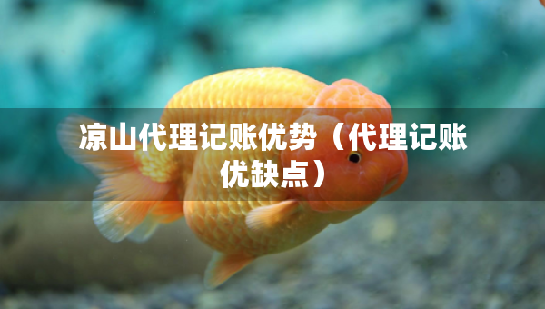 凉山代理记账优势（代理记账优缺点）