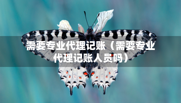 需要专业代理记账(需要专业代理记账人员吗) 需要专业代理记账(需要专业代理记账人员吗)