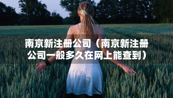 南京新注册公司（南京新注册公司一般多久在网上能查到）